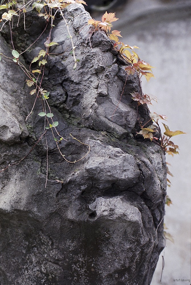 Stone 11 copy