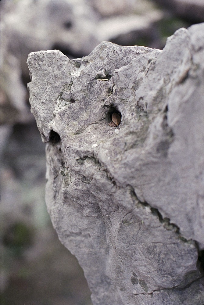 Stone 13