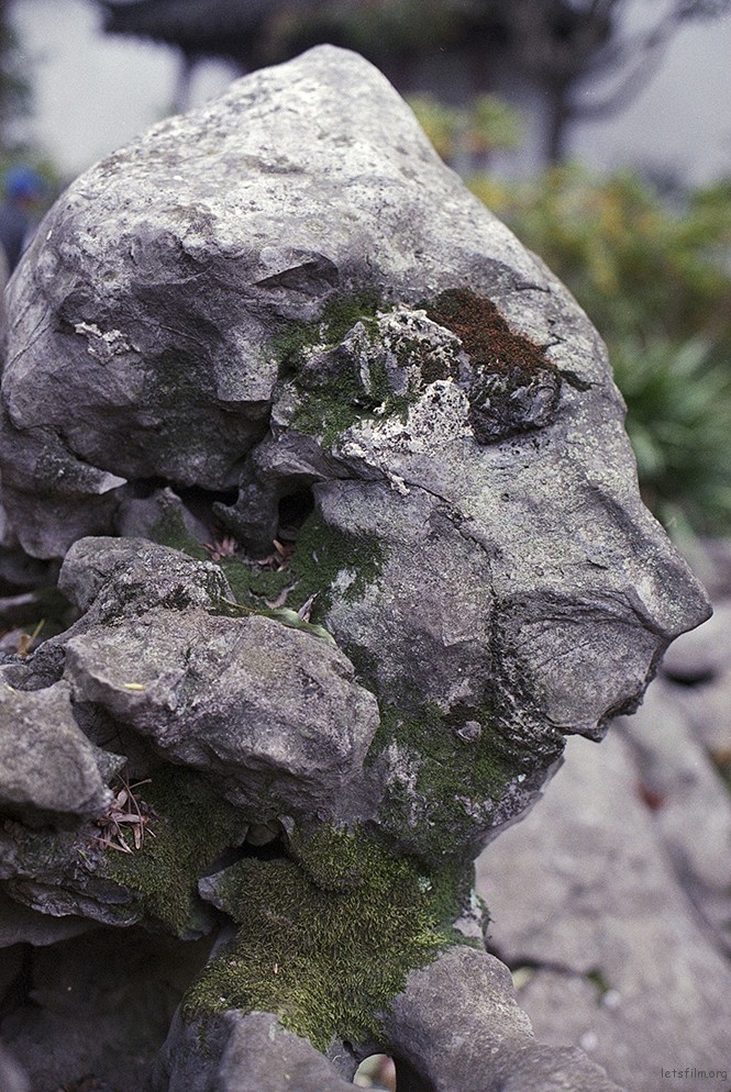 Stone 51
